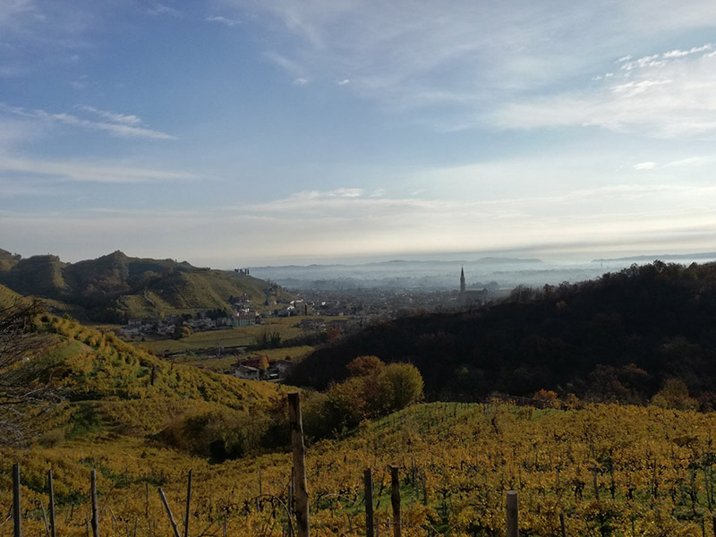 Cantina Riva Granda Degustazioni Colline Unesco di Conegliano Valdobbiadene