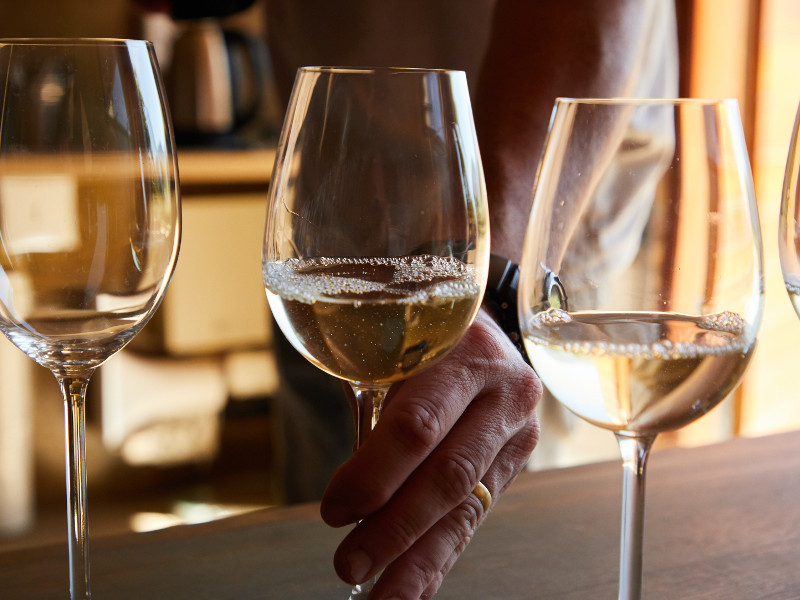 Degustazione Vini Giol