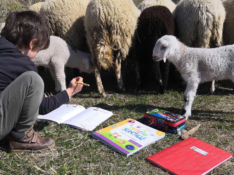 Esperienze in rurali ai piedi del Cansiglio