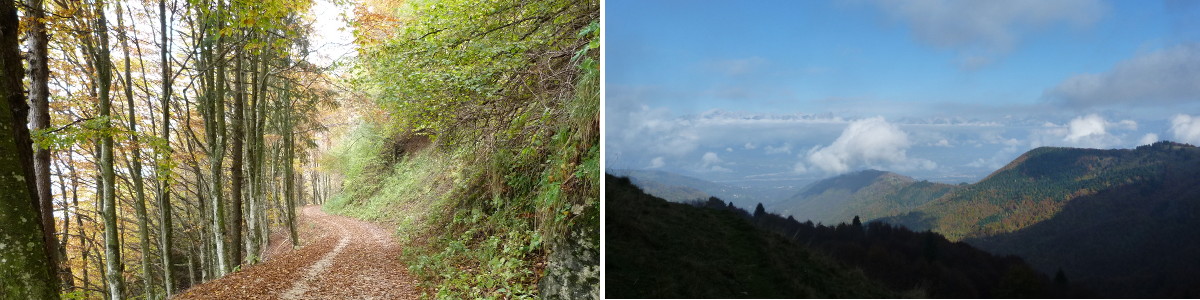 Prealpi trevigiane in autunno