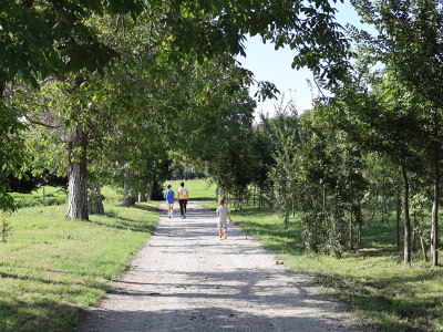 Passeggiata della Libellula a Colceresa