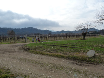 Da Pederobba a Curogna