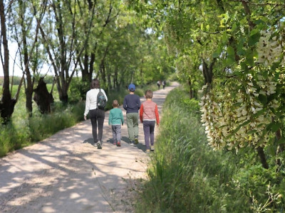 La via delle acacie a San Cassiano