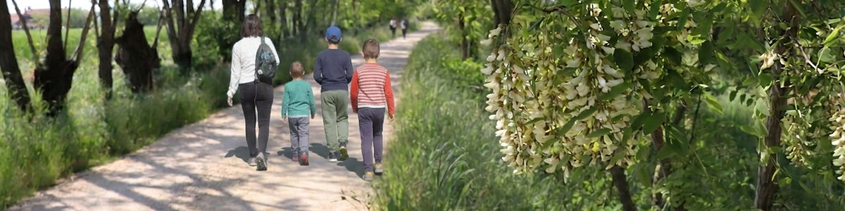 La via delle acacie a San Cassiano