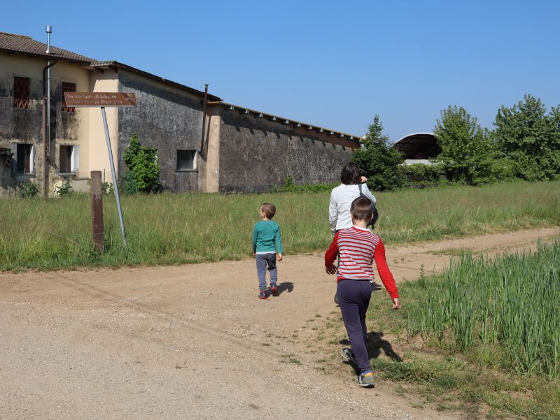 Viottolo di campagna