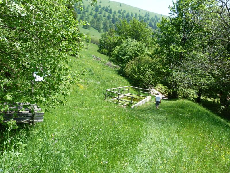 Arriviamo alla vasca dei pesci