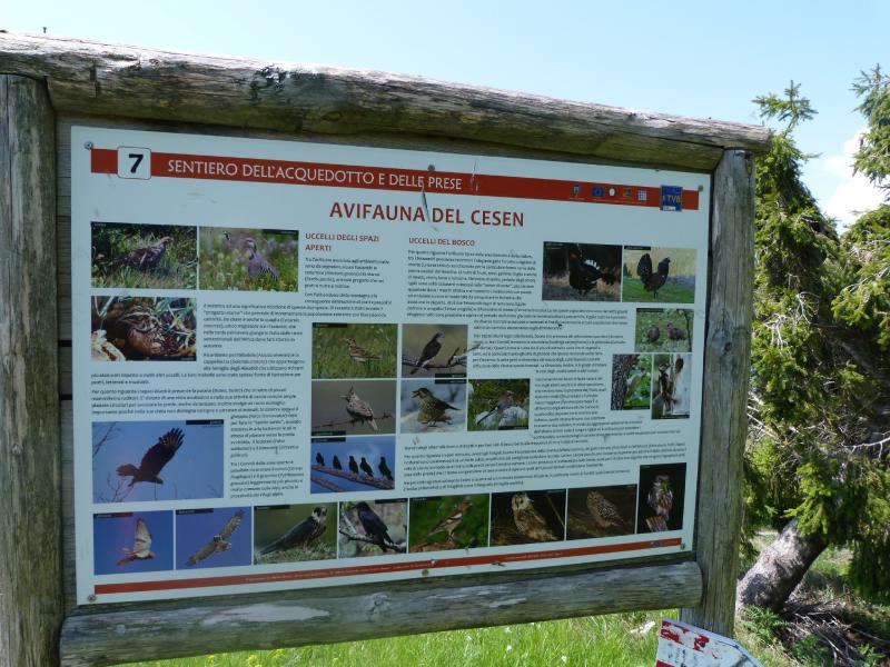 Cartello avifauna del Monte Cesen