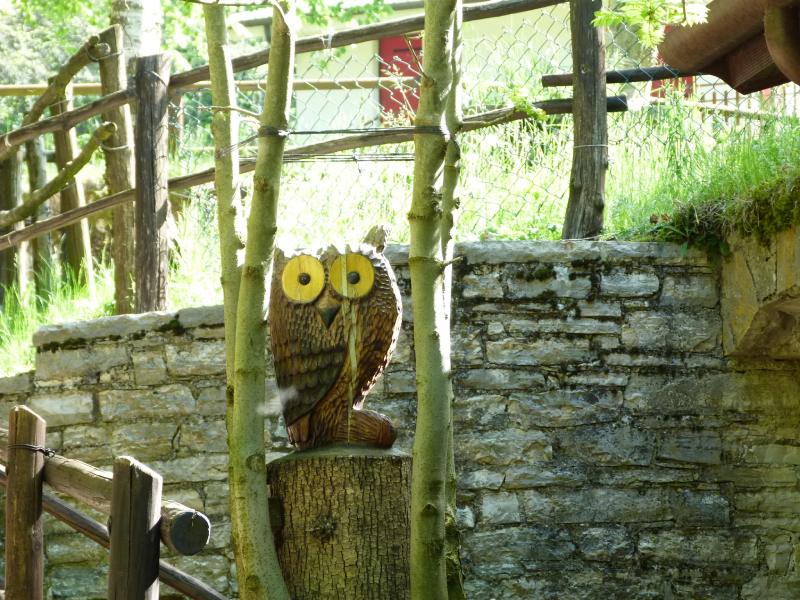 la civetta ci sorveglia