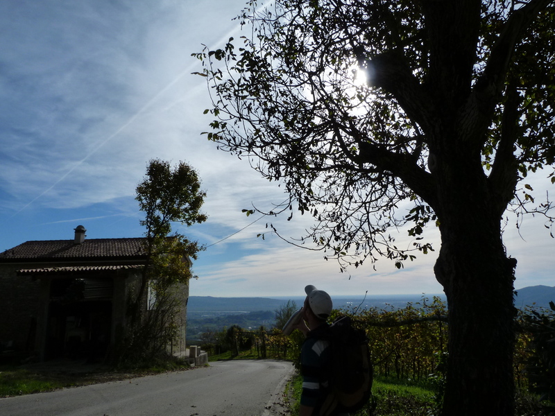 Panorama