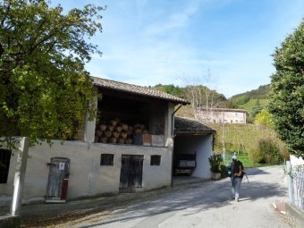 Damigiane in fienile