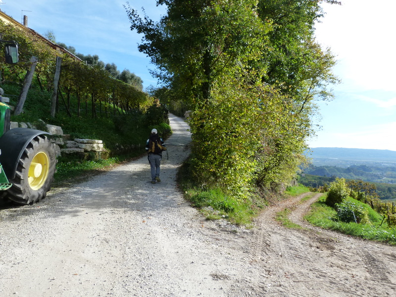 Vicino l'Eremo