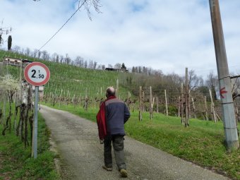 All'incrocio a sinistra