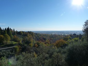 Pianura trevigiana