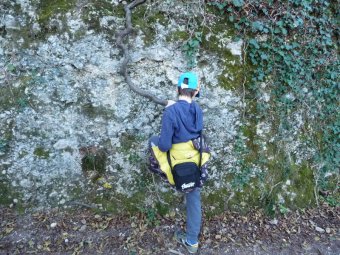 Radice sulla roccia