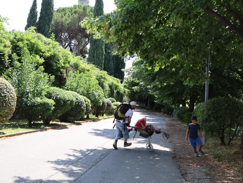Impennate in via Ca' Erizzo