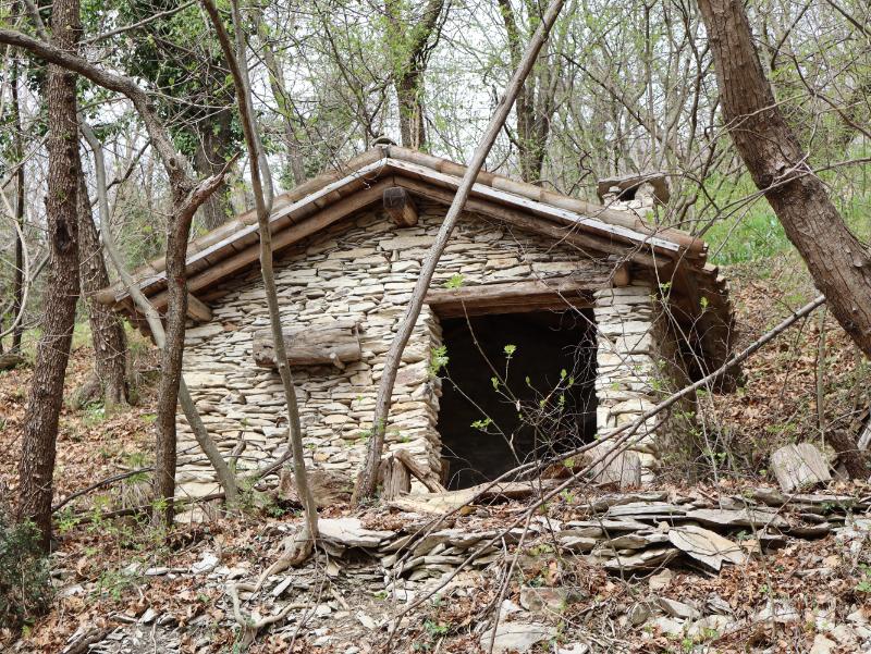 Casetta nel bosco