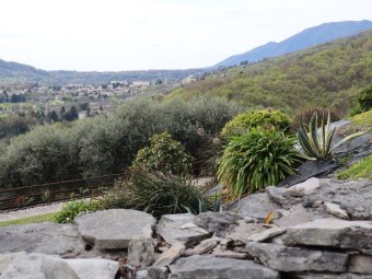 All'orizzonte il Tempio canoviano