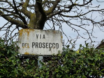 Via del Prosecco