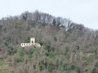 Casa nel bosco