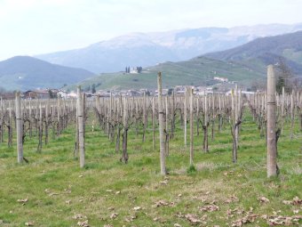 Panorama sulle Colline