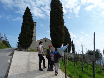 Quasi in Chiesa