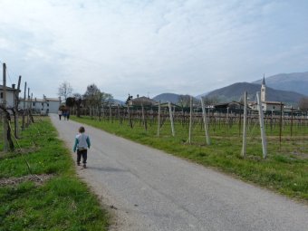 Lungo lo sterrato verso Via Verdi