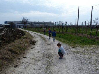 Verso il capannone