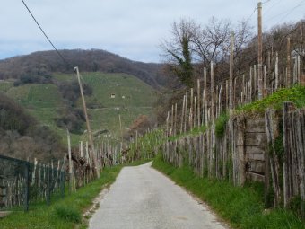 All'interno dei colli