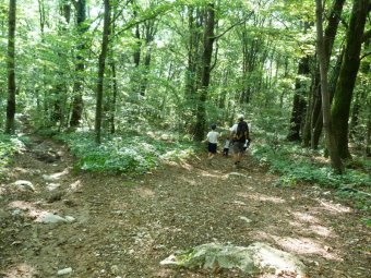 Scendiamo verso destra