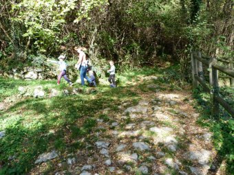 Dopo gli asini a sinistra