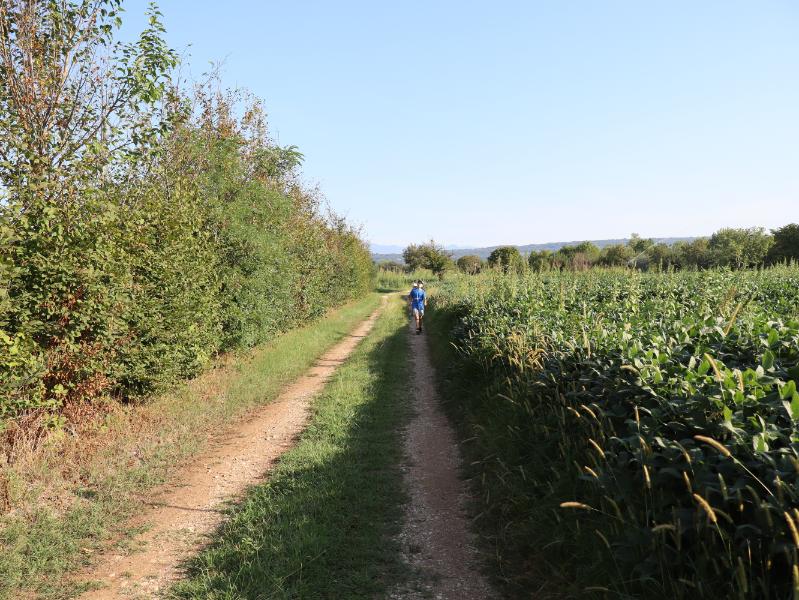 Tra i campi