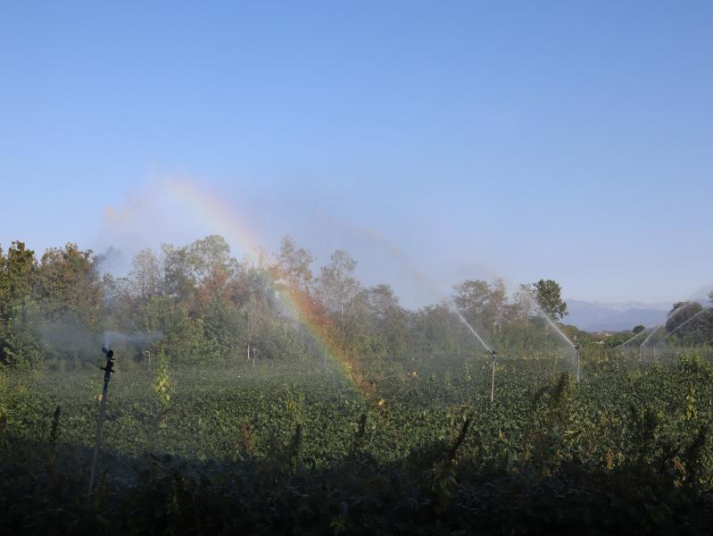Getto d'acqua arcobaleno