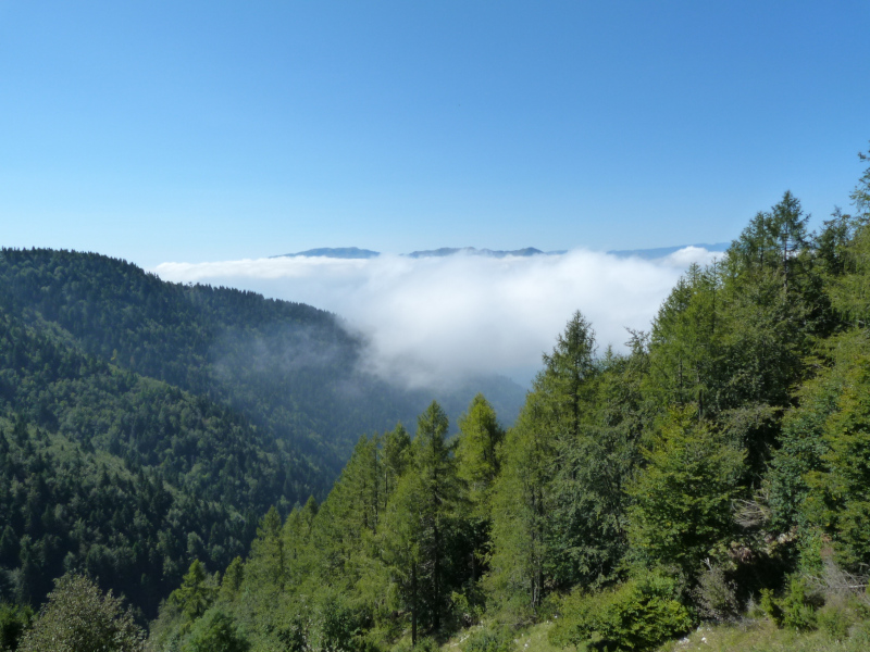 Nuvole basse vengono verso di noi