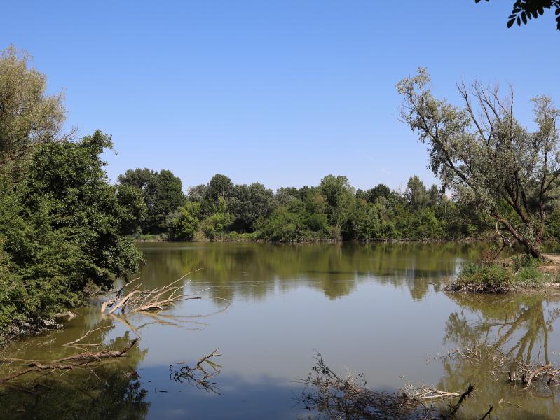 Ultimo laghetto