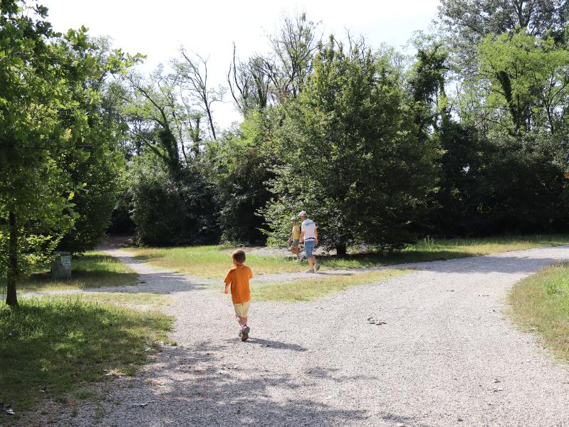Verso un nuovo laghetto