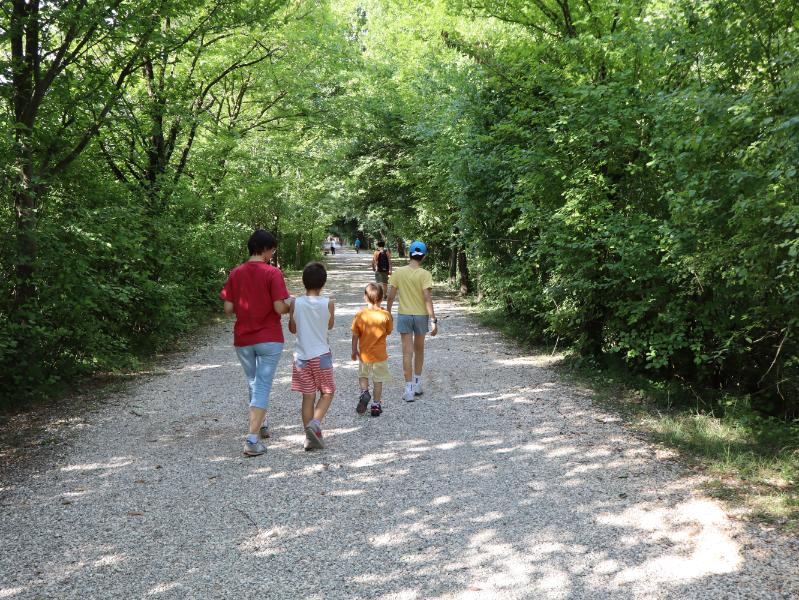 Viale alberato Parco Laghetti Martellago