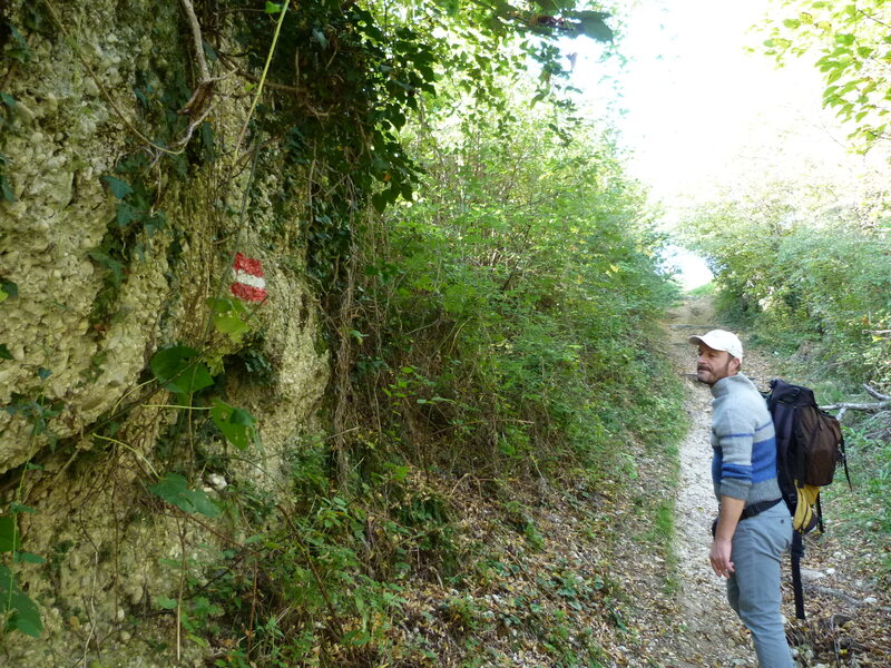 Camminate Colline del Prosecco
