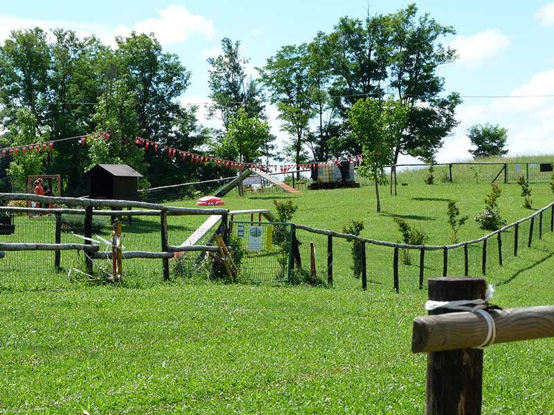 Parco Giochi a 6 Zampe