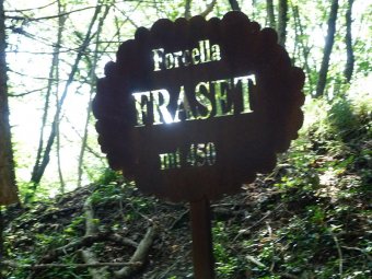 Forcella Fraset