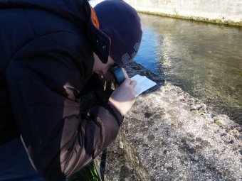 Foglie al microscopio