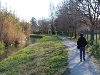 Ai bordi del Palamazzalovo