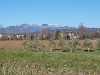 Prealpi trevigiane innevate