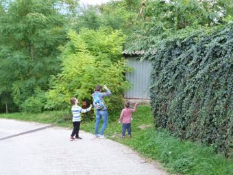 Prendiamo il sentiero a destra