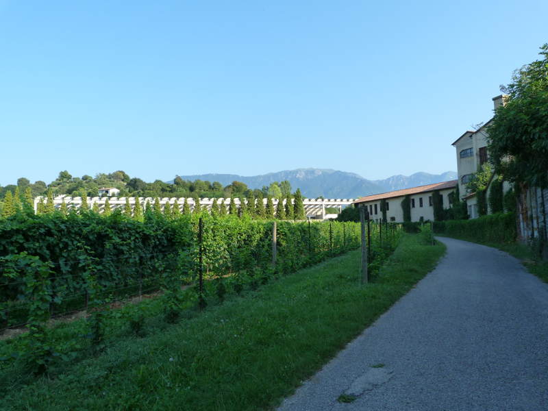 Laterale di Via Monte Grappa