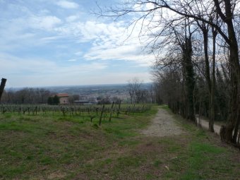 Panorama pianura trevigiana