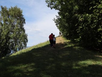 Vicino il faggio secolare