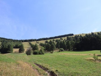 Monte Cesen