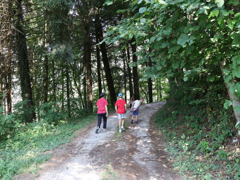 Via Sottopineta