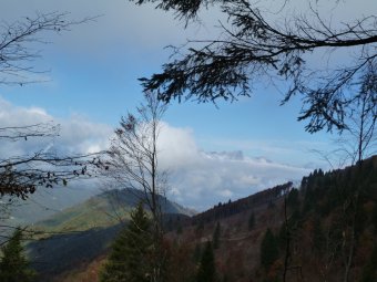 Cielo limpido tra le nuvole