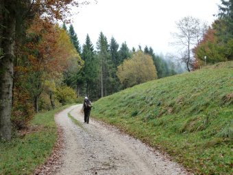 Continuiamo in direzione Malga Mont
